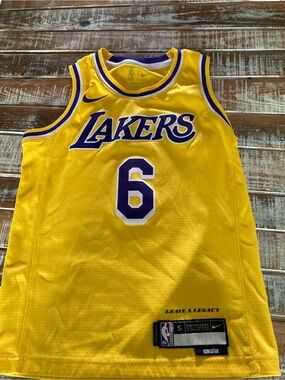 NBA Los Angeles Lakers Yellow and Purple #6 Jersey